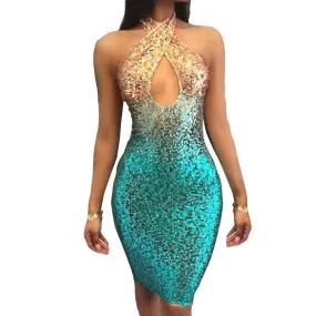 Backless Sleeveless Bodycon Club Party Dress