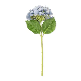 Dusty Blue Stemmed Hydrangea