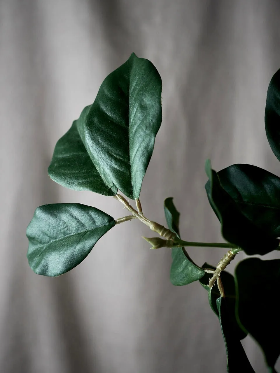 Faux Dark Green Foliage