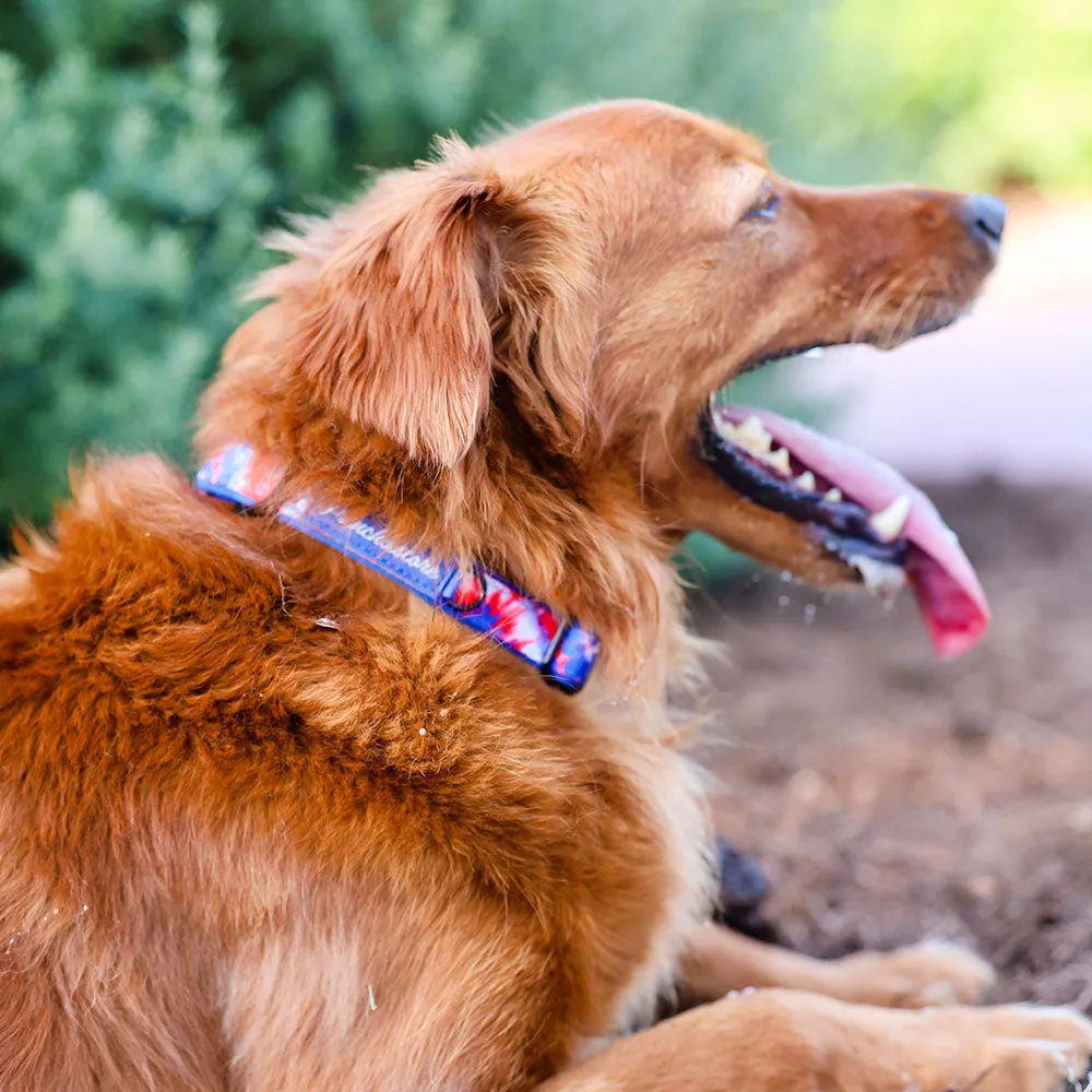 Frenchiestore Breakaway Dog Collar | Red, White & Blue