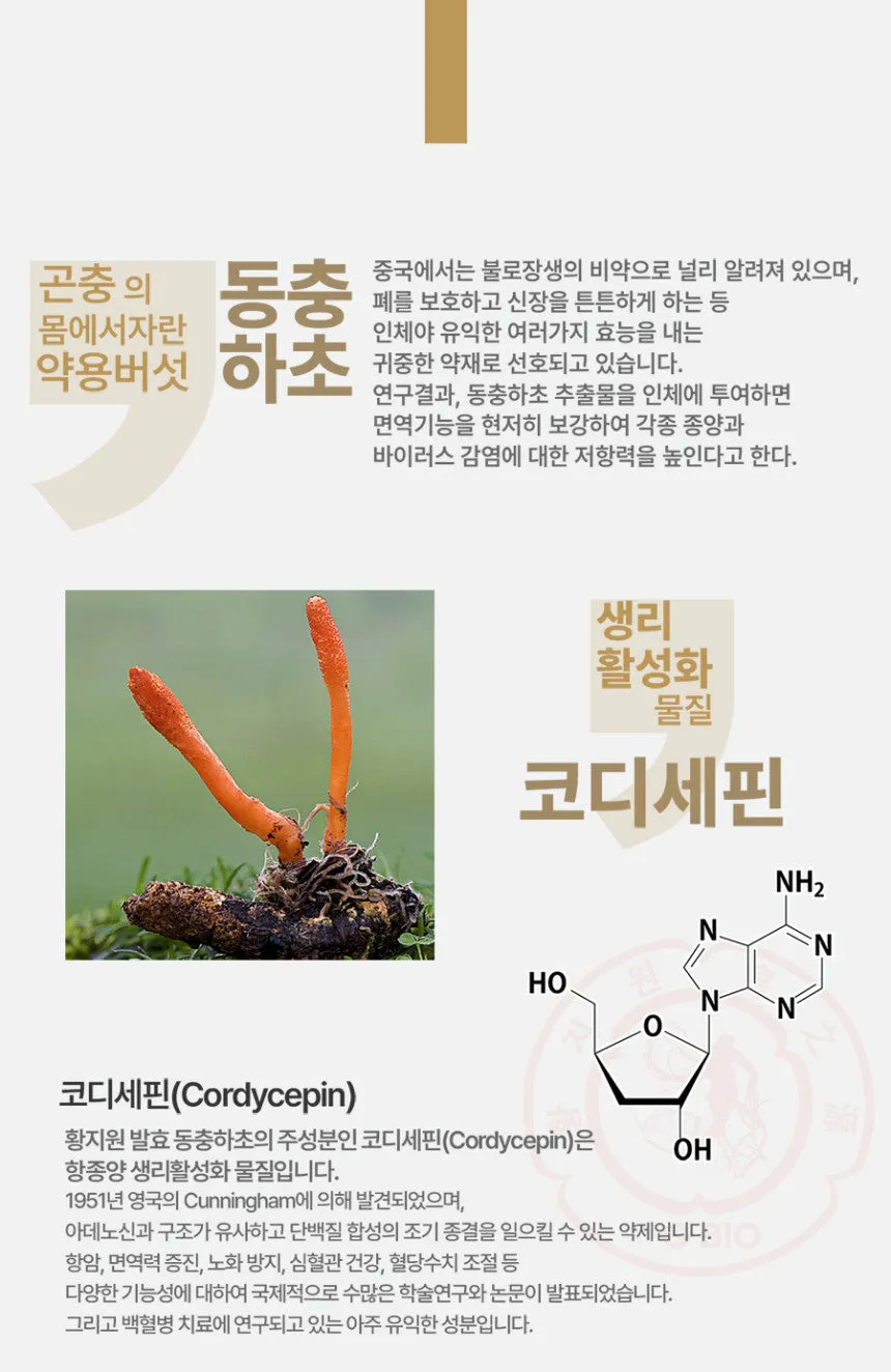 Hwang Ji Won Korean Permented CORDYCEPS MILITARIS 40ml 30 Pouches Drinks Premium Gold Health Supplements