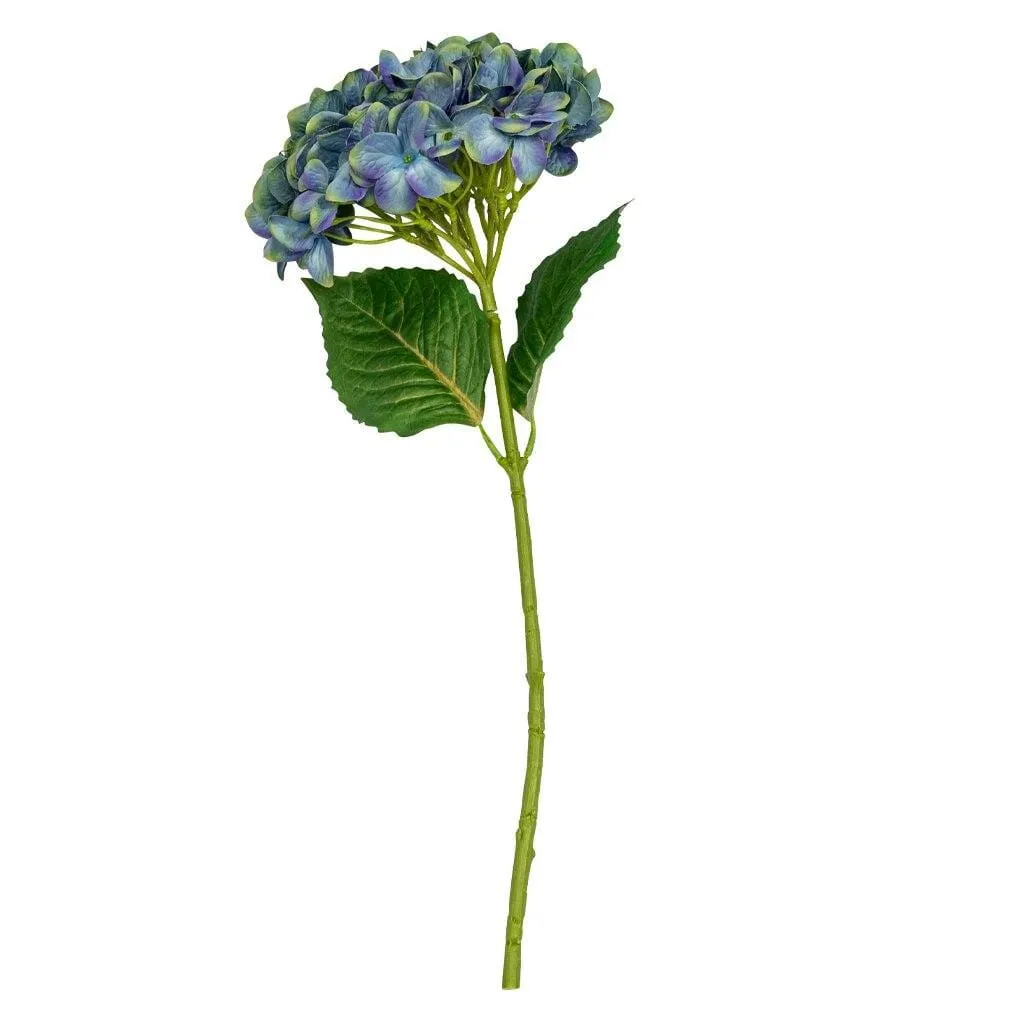 Hydrangea Blue Smoke - 54cm