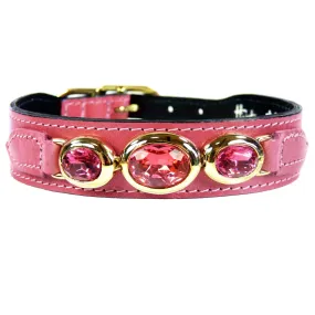 Regency Dog Collar in Petal Pink & Gold