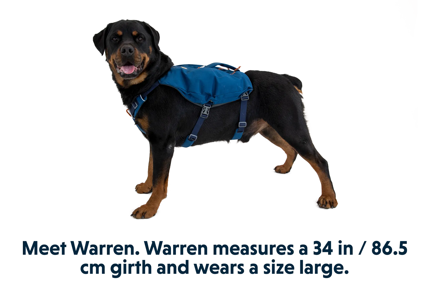 RP - Switchbak™ Dog Harness