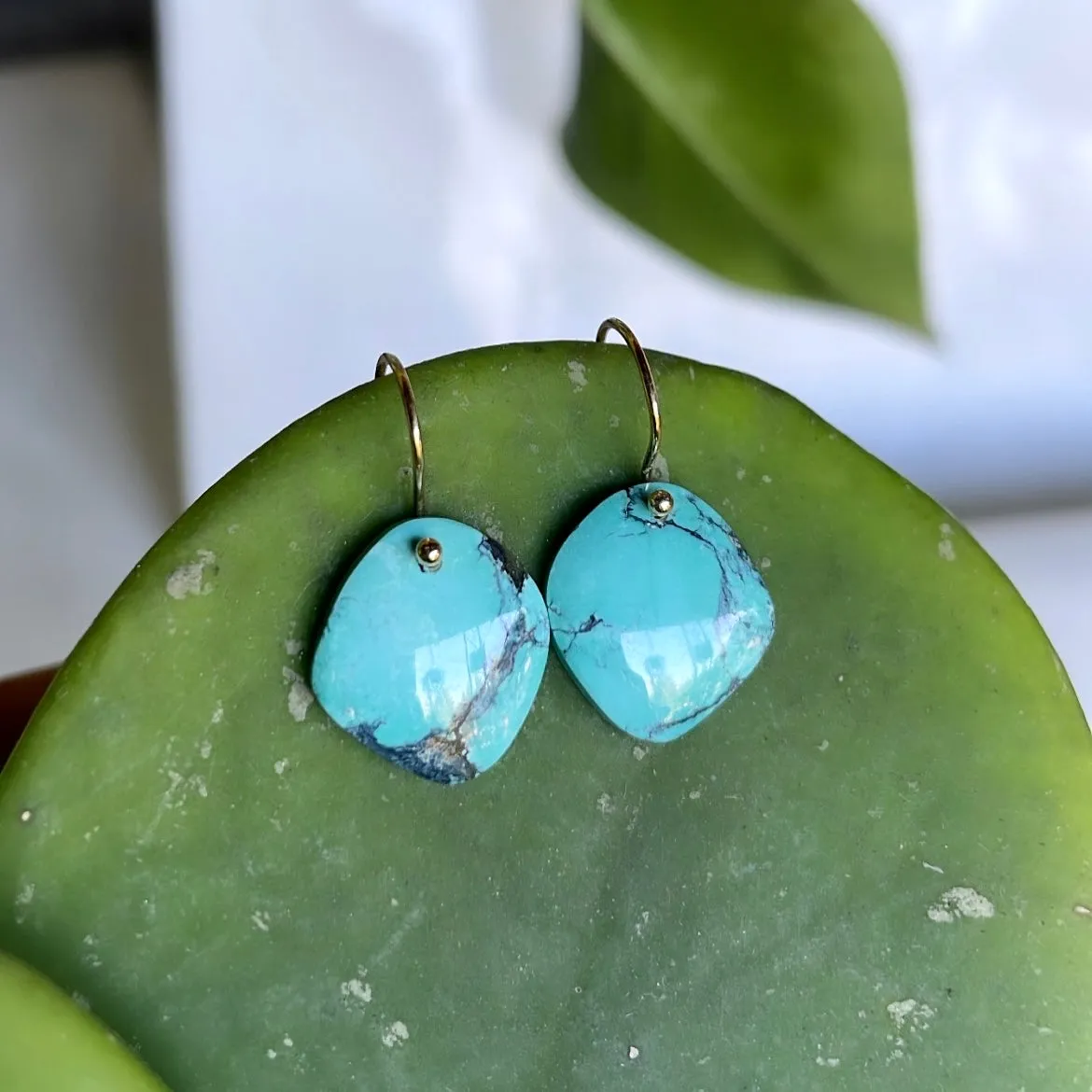 Soft sided turquoise earrings